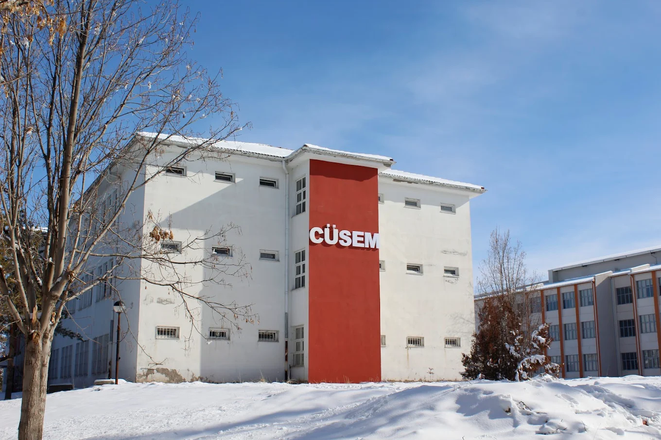 CÜSEM