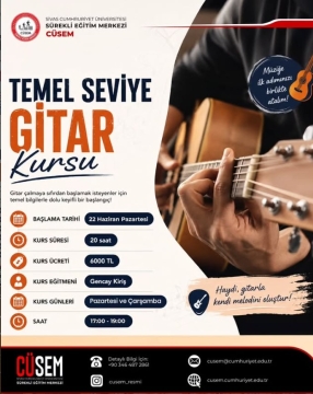 Temel Seviye Gitar Kursu